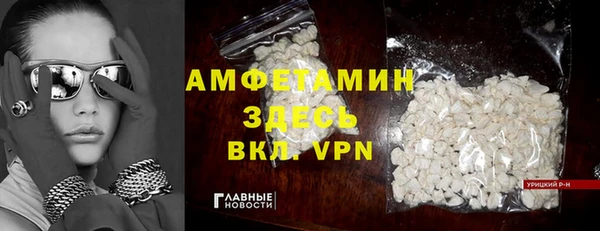 гашик Алексин