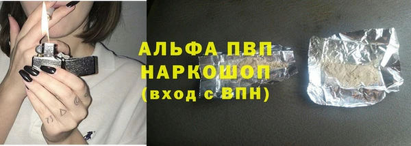 гашик Алексин
