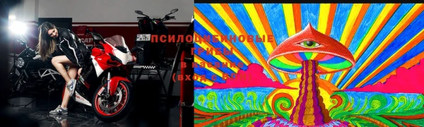 гашик Алексин
