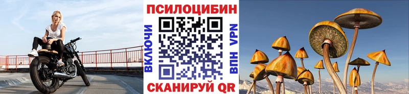 Галлюциногенные грибы прущие грибы omg Звенигово цена